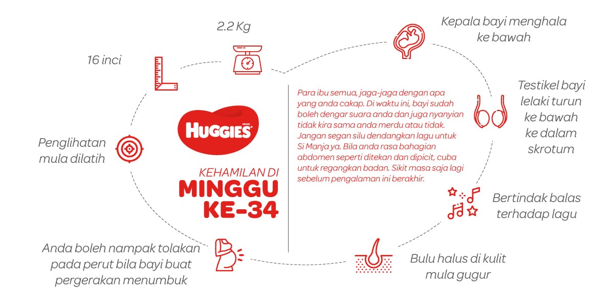 Kehamilan Di Minggu Ke-34 | Huggies Malaysia